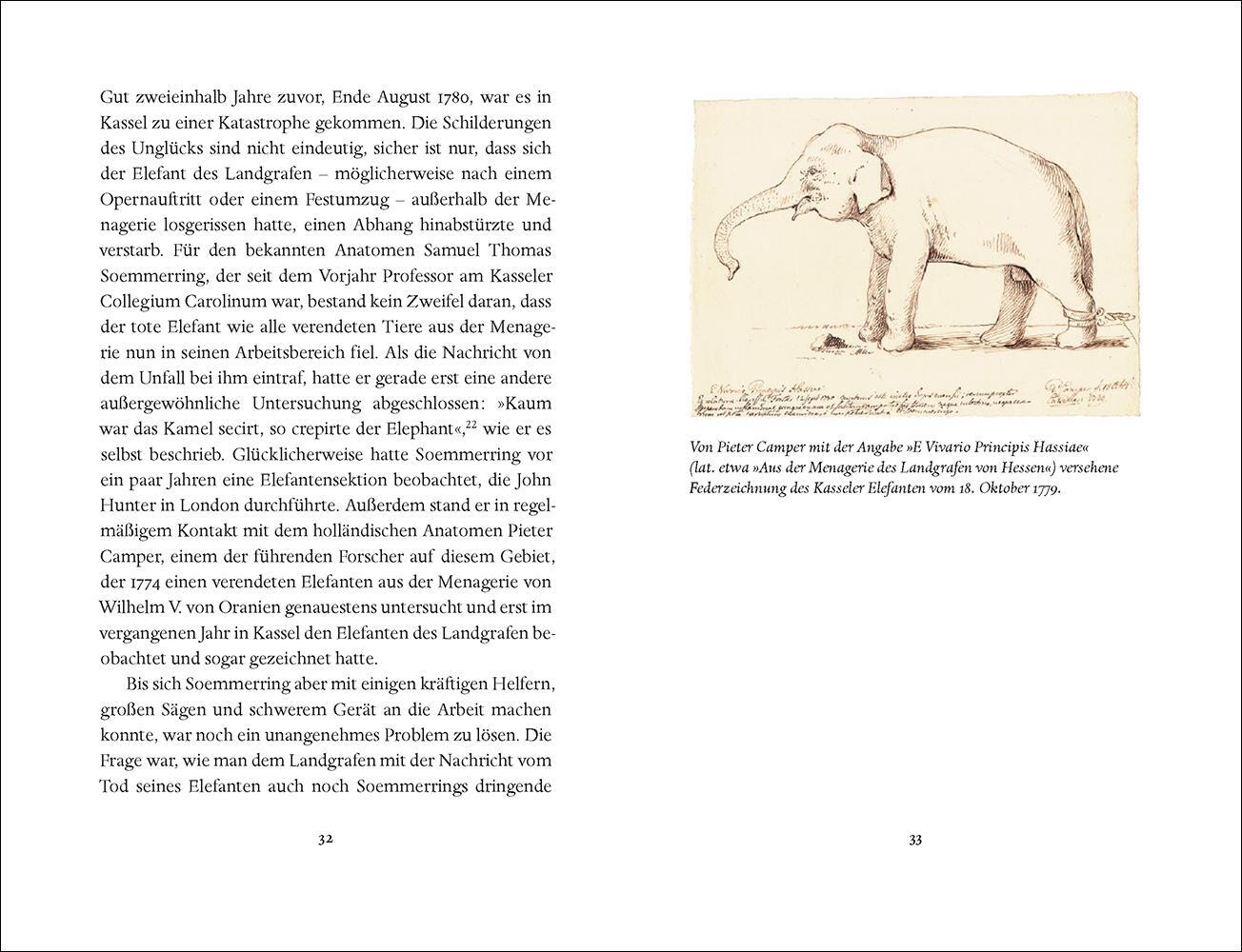 Bild: 9783458194897 | Goethes Elefanten | Oliver Matuschek | Buch | Insel-Bücherei | 110 S.