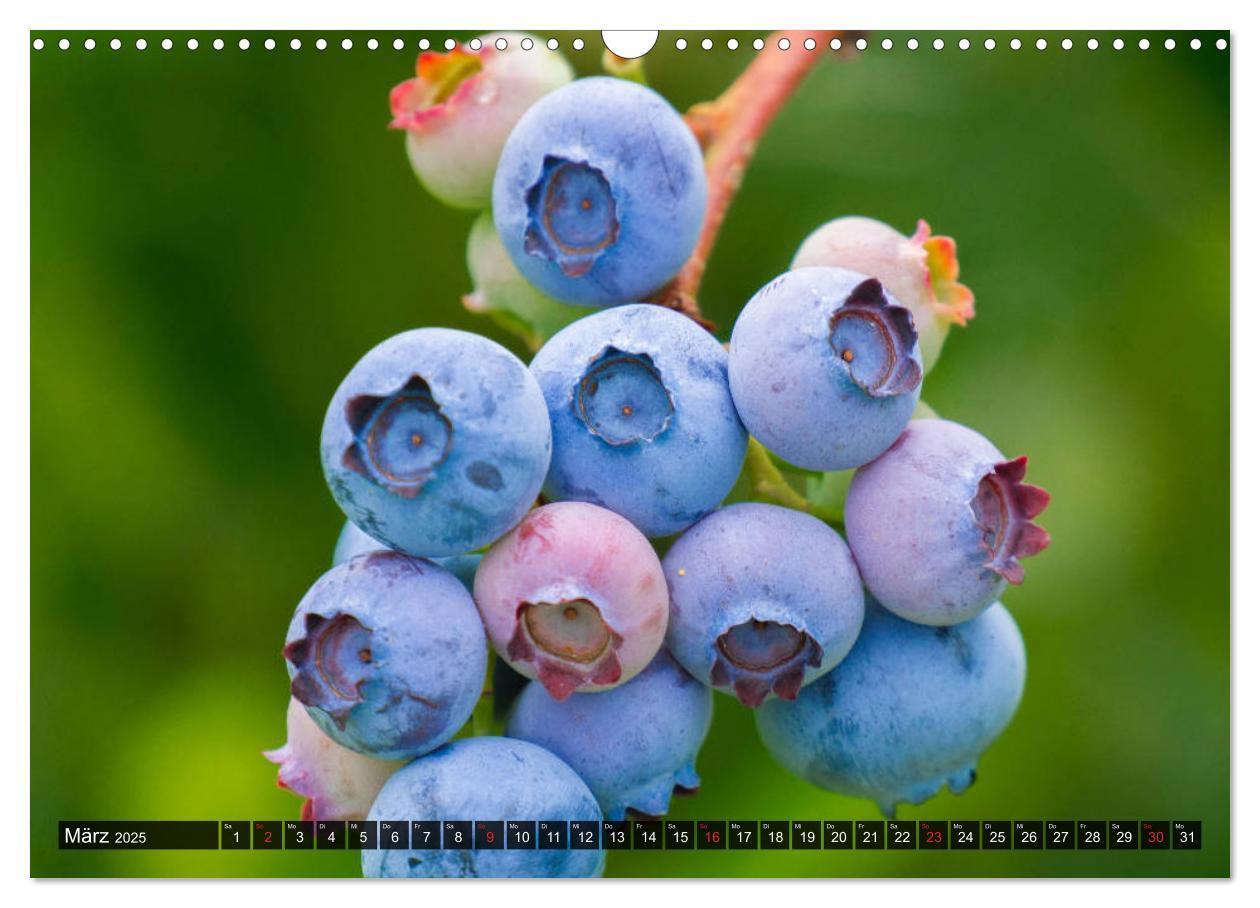 Bild: 9783435308866 | Superfood Blaubeere. Ich esse gerne Heidelbeeren! (Wandkalender...