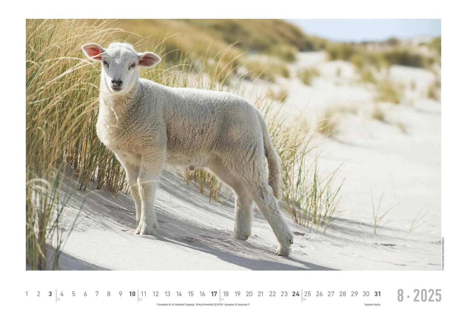 Bild: 4251732343392 | Seeblick 2025 - Bildkalender quer 49,5x33 cm - Sea View - die...