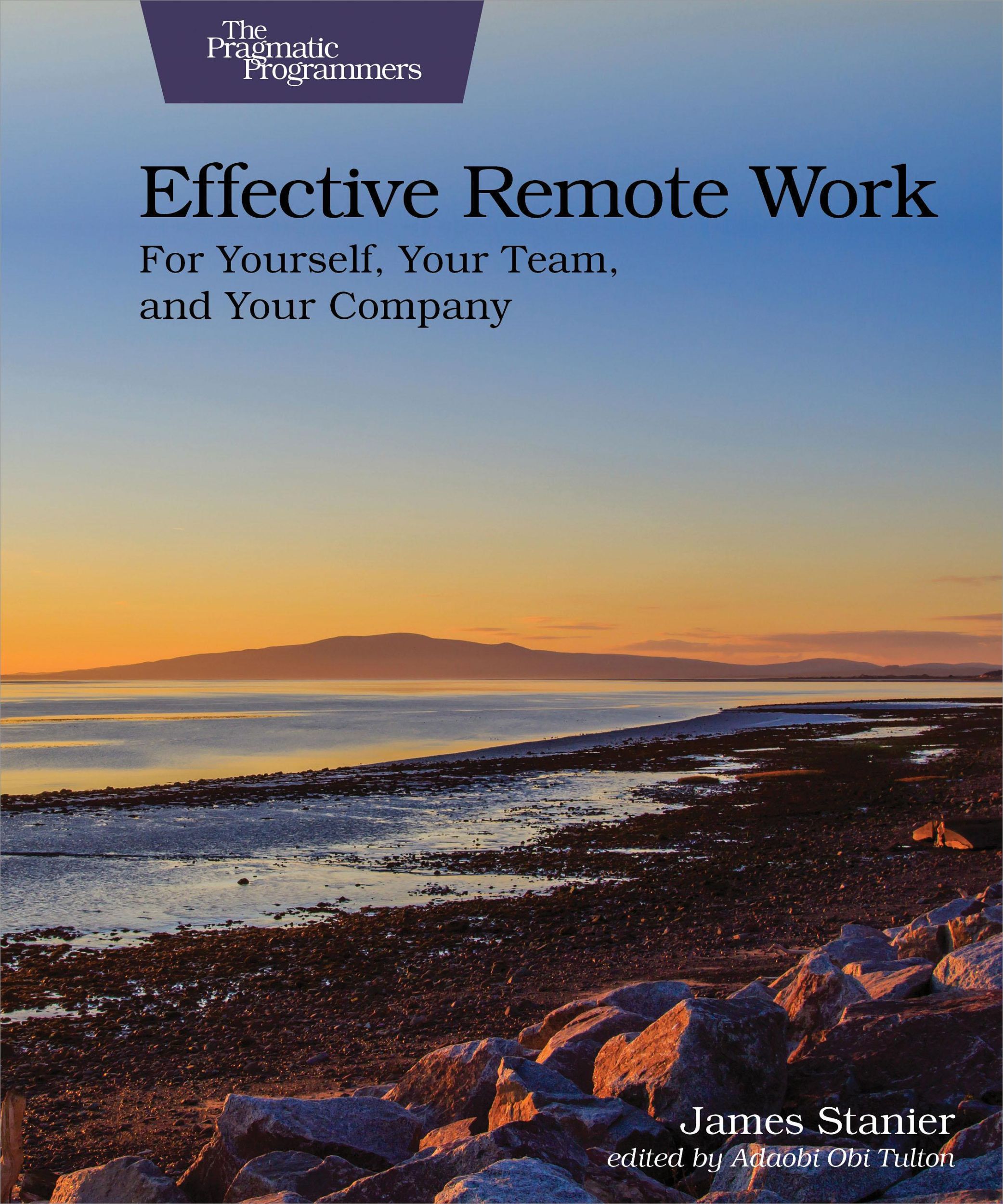 Cover: 9781680509229 | Effective Remote Work | For Yourself, Your Team, and Your Company