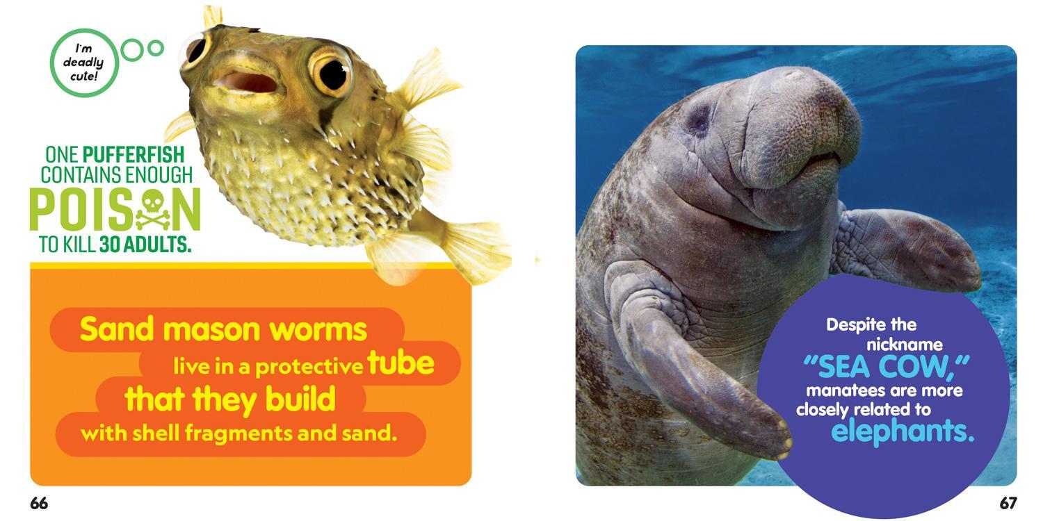 Bild: 9781426371813 | Weird But True Ocean | National Geographic Kids | Taschenbuch | 2021