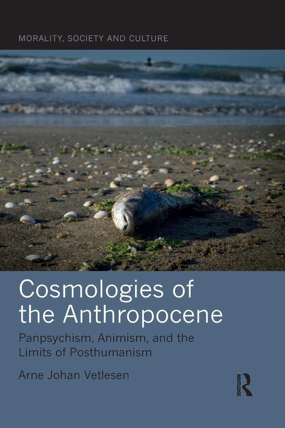 Cover: 9780367545345 | Cosmologies of the Anthropocene | Arne Johan Vetlesen | Taschenbuch