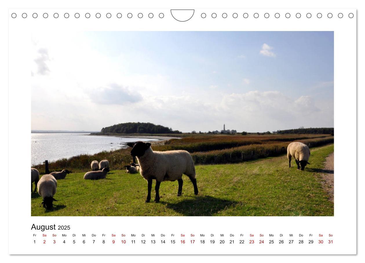 Bild: 9783435433582 | Fehmarn - Bewegende Momente (Wandkalender 2025 DIN A4 quer),...