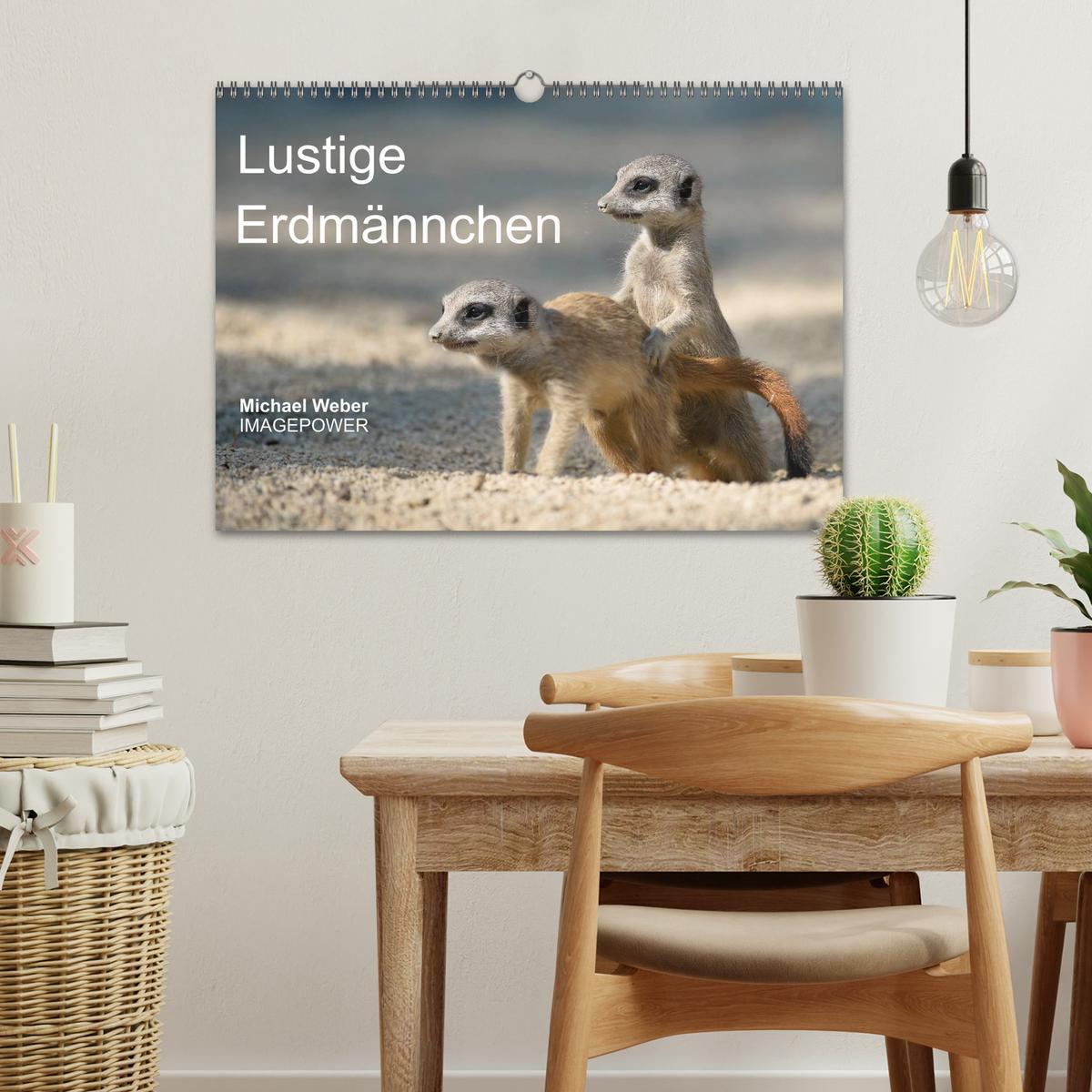 Bild: 9783435782123 | Lustige Erdmännchen (Wandkalender 2025 DIN A3 quer), CALVENDO...