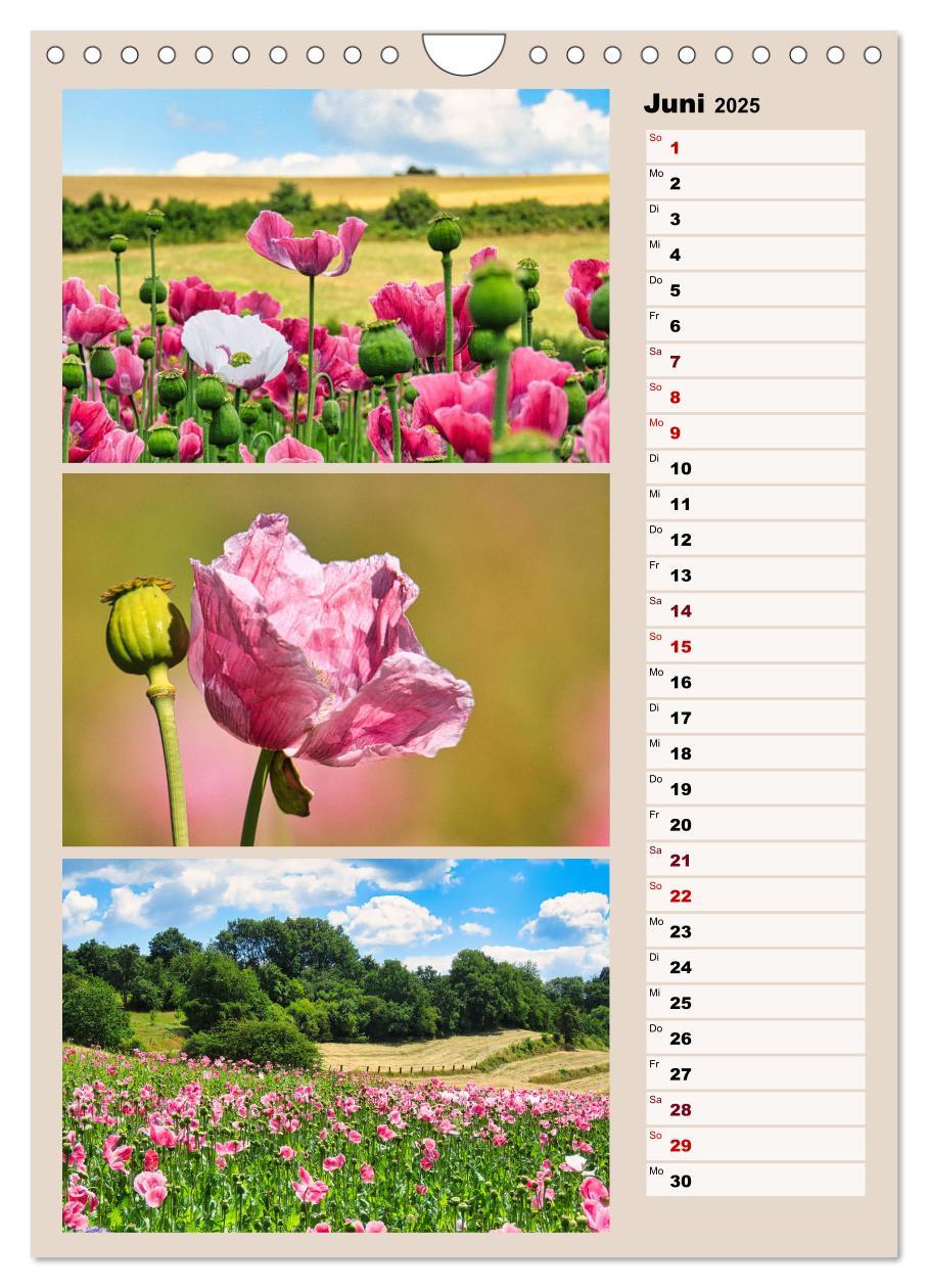 Bild: 9783457146224 | Harmonie der Farben in Landschaft und Natur (Wandkalender 2025 DIN...