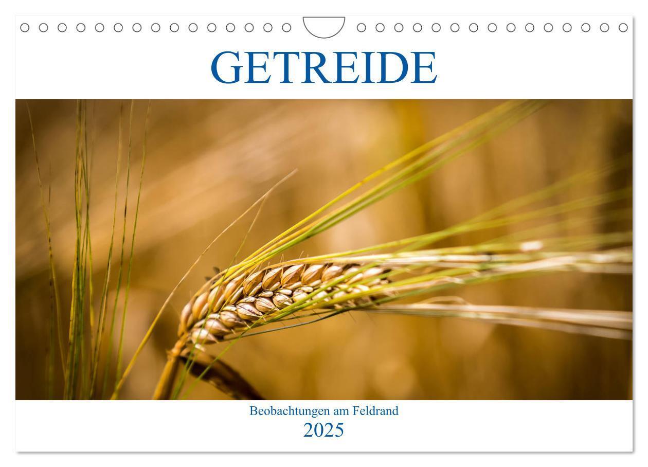 Cover: 9783435175291 | Getreide - Beobachtungen am Feldrand (Wandkalender 2025 DIN A4...