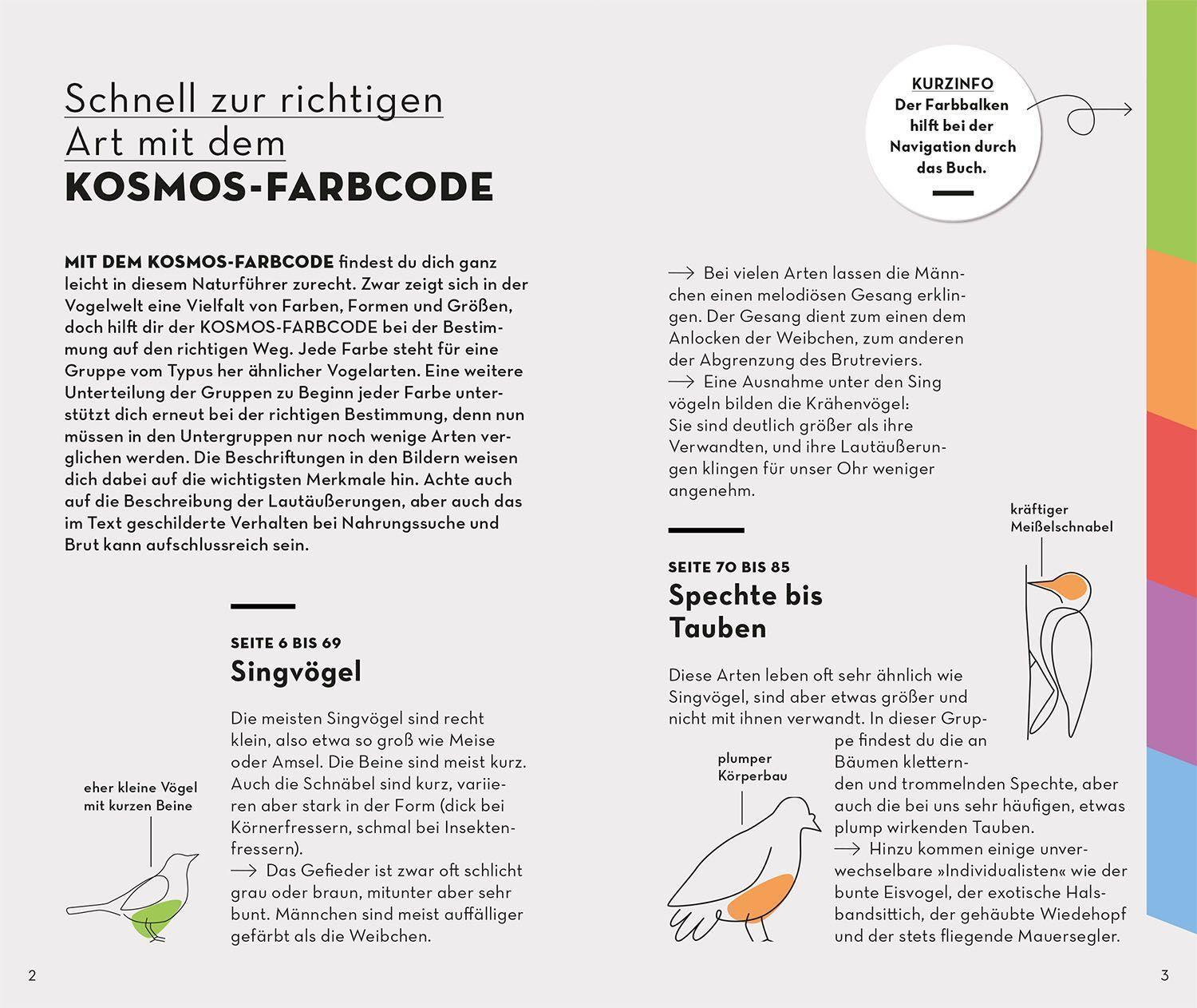 Bild: 9783440173886 | BASIC Gartenvögel | Volker Dierschke | Taschenbuch | 128 S. | Deutsch