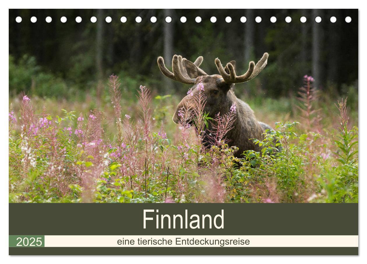 Cover: 9783435353507 | Finnland: eine tierische Entdeckungsreise (Tischkalender 2025 DIN...