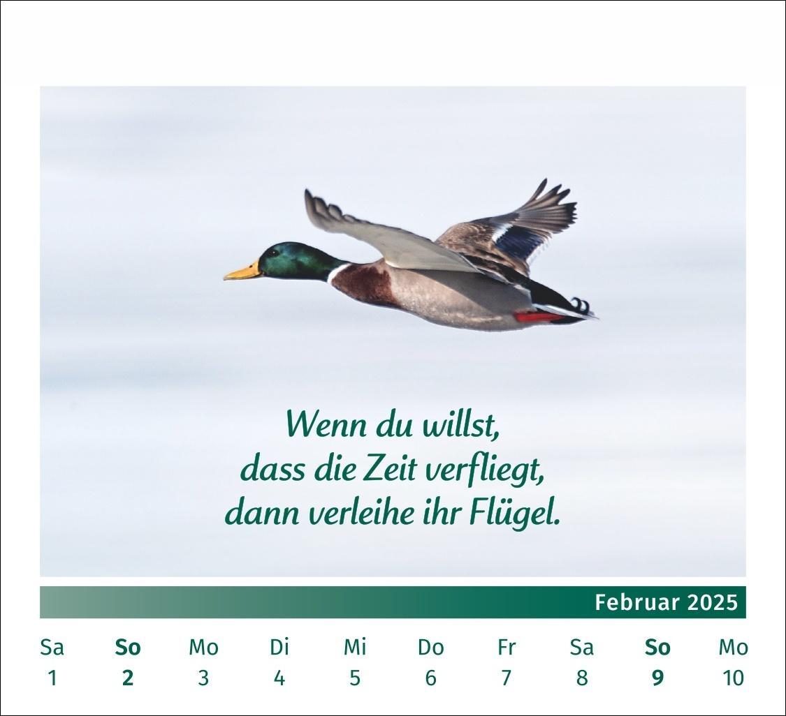 Bild: 9783840196072 | PAL - Der Lebensfreude Tischkalender 2025 | Kalender | Spiralbindung