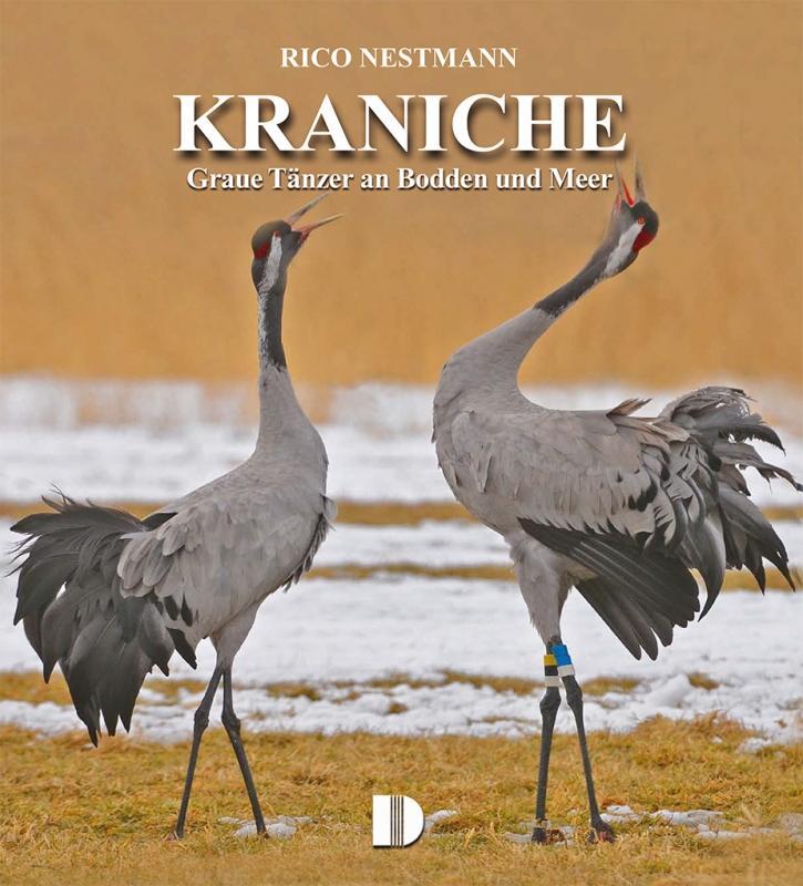 Cover: 9783944102146 | Kraniche | Graue Tänzer an Bodden und Meer | Rico Nestmann | Buch