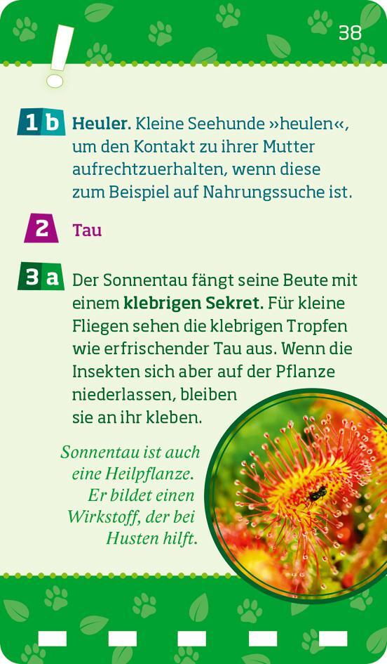 Bild: 9783788677831 | WAS IST WAS Quiz Natur und Tiere | KG | Taschenbuch | 80 S. | Deutsch