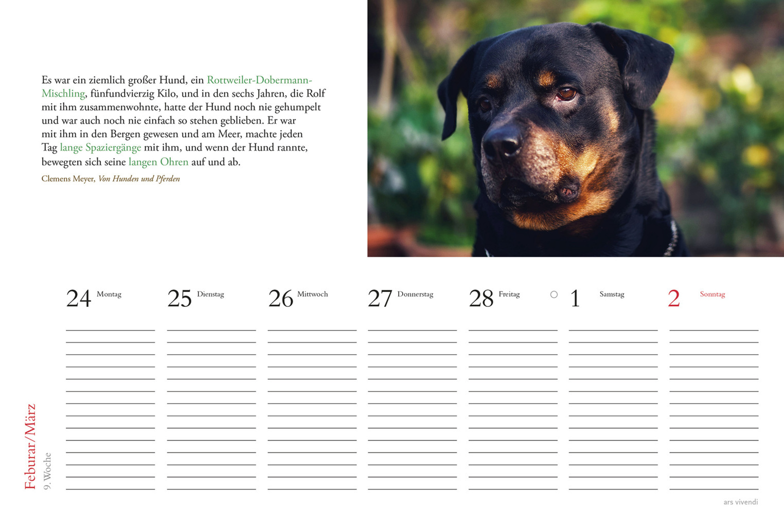 Bild: 9783747205709 | Tischkalender Hunde 2025 | Tischkalender | Kalender | 53 S. | Deutsch