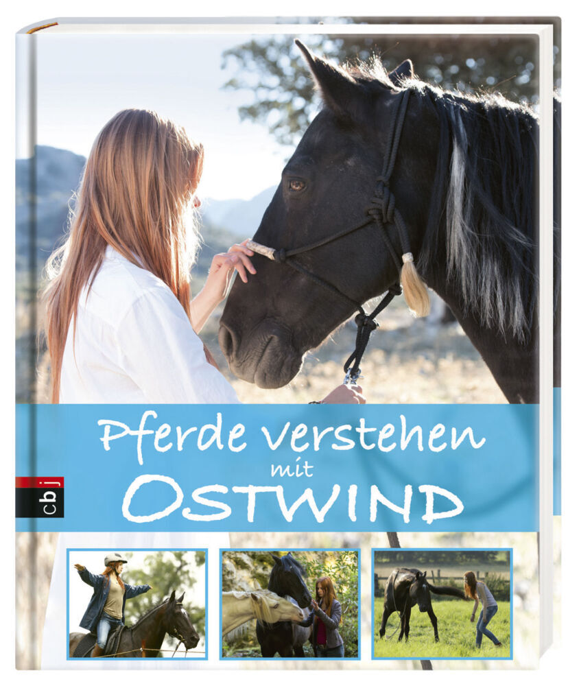 Bild: 9783570174791 | Pferde verstehen mit Ostwind | Almut Schmidt | Buch | 104 S. | Deutsch