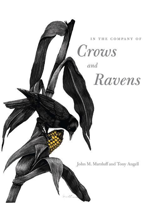 Cover: 9780300122558 | In the Company of Crows and Ravens | John M Marzluff (u. a.) | Buch