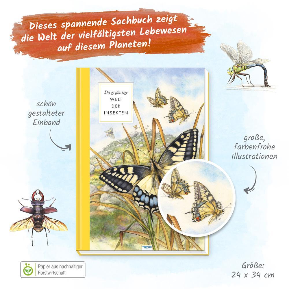 Bild: 9783988020857 | Trötsch Sachbuch Die großartige Welt der Insekten | Trötsch Verlag