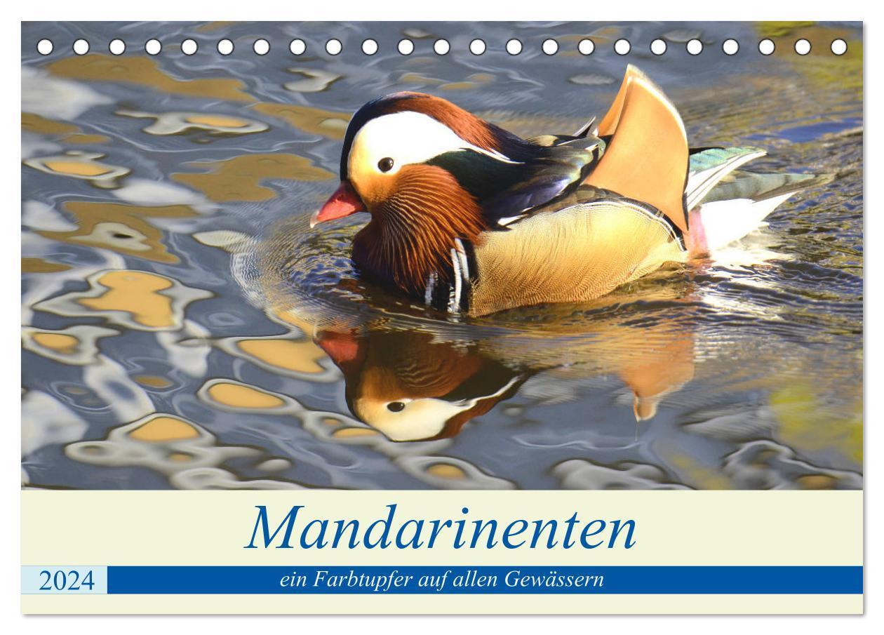 Cover: 9783675530416 | Mandarinenten, ein Farbtupfer auf allen Gewässern. (Tischkalender...
