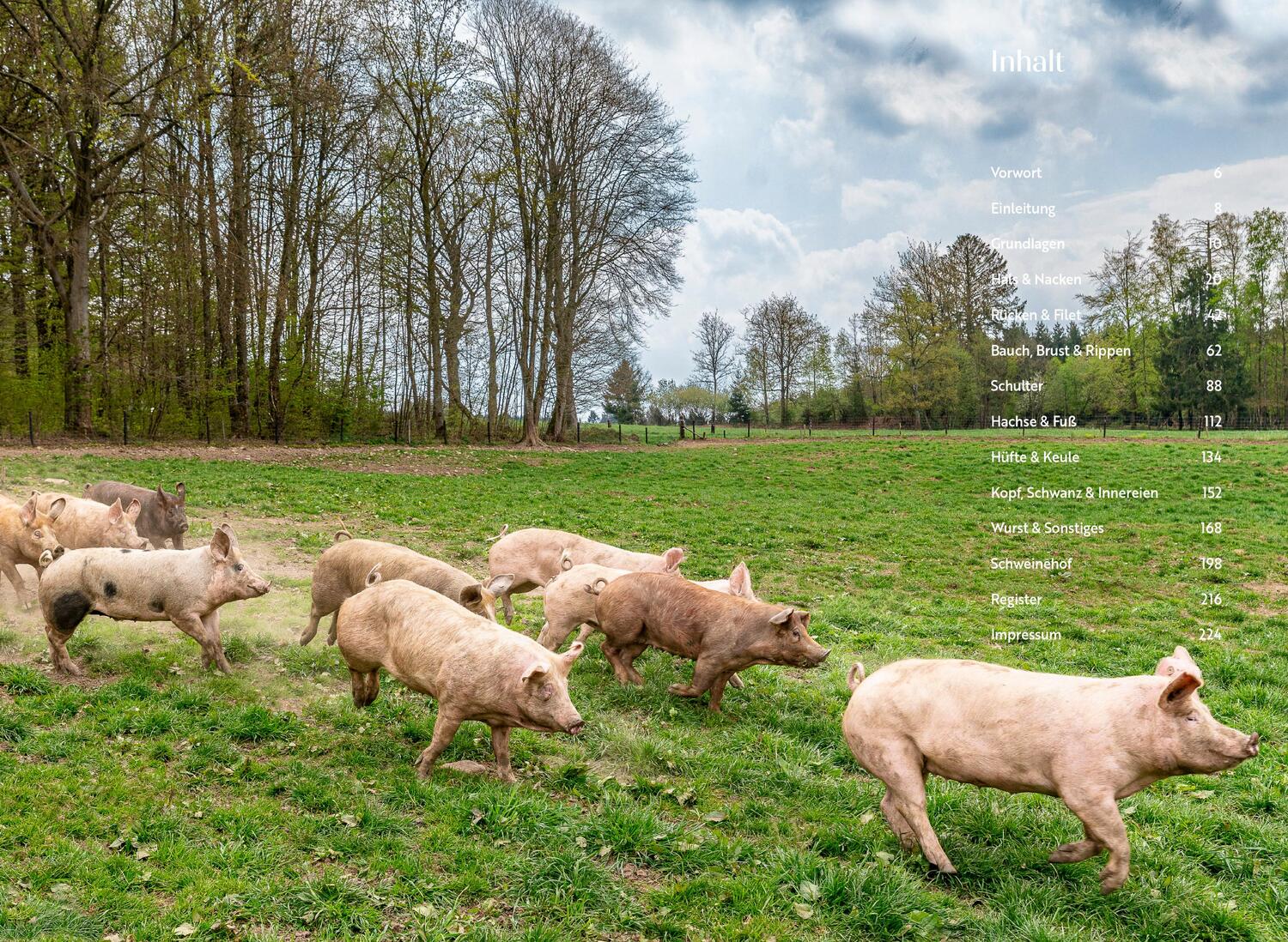 Bild: 9783982153087 | Das ganze Schwein | 90 Rezepte von Nase bis Schwanz | Steffen Kimmig
