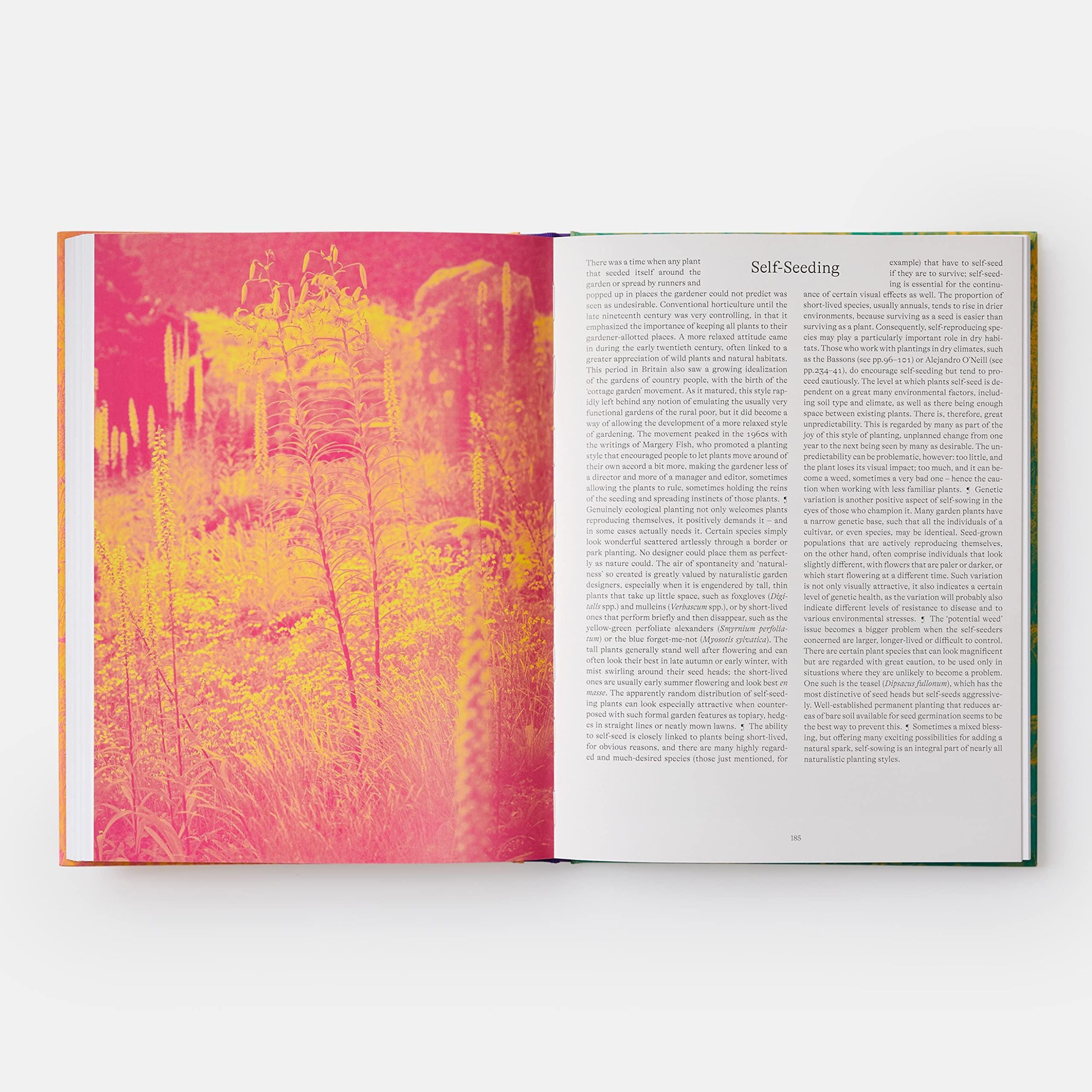 Bild: 9781838661052 | Wild | The Naturalistic Garden | Noel Kingsbury | Buch | Phaidon Press