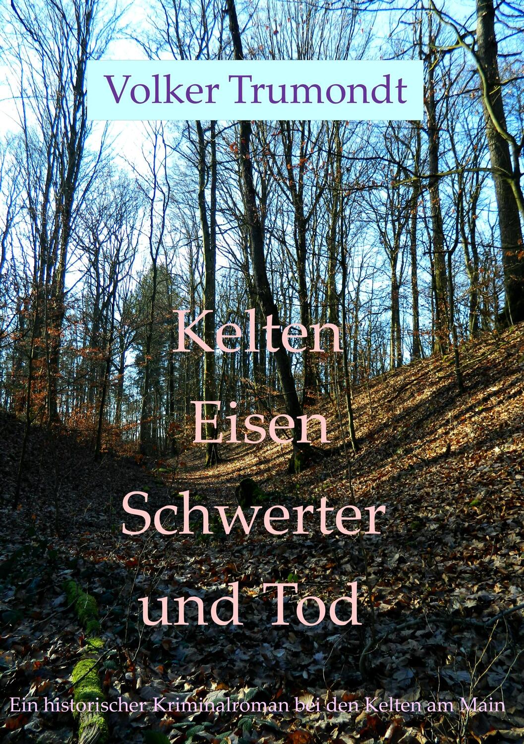 Cover: 9783750412798 | Kelten Eisen Schwerter und Tod | historischer Kriminalroman | Trumondt