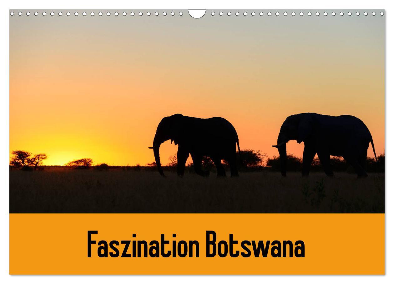 Cover: 9783435452125 | Faszination Botswana (Wandkalender 2025 DIN A3 quer), CALVENDO...