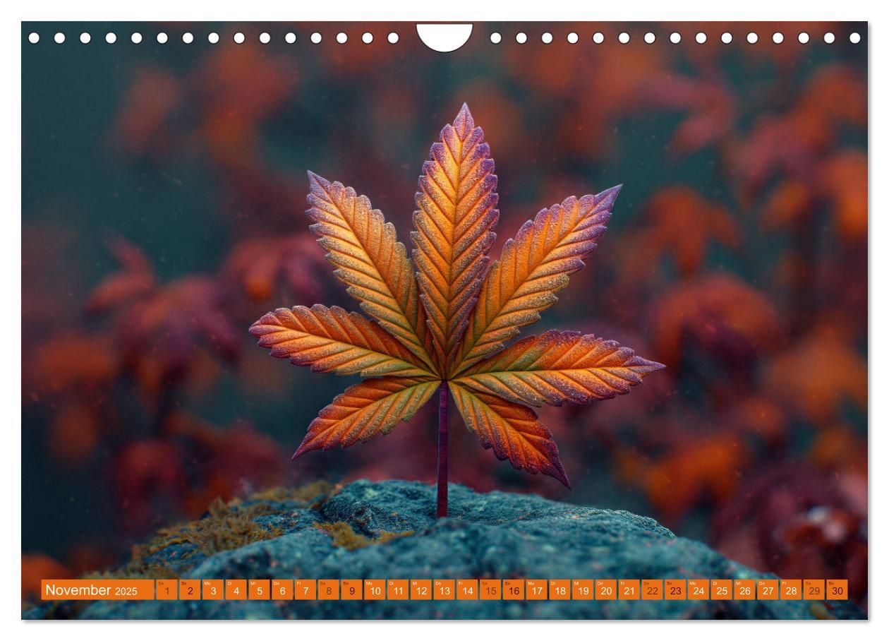 Bild: 9783383764653 | High Moments - Ein Jahr im Zeichen von Cannabis (Wandkalender 2025...