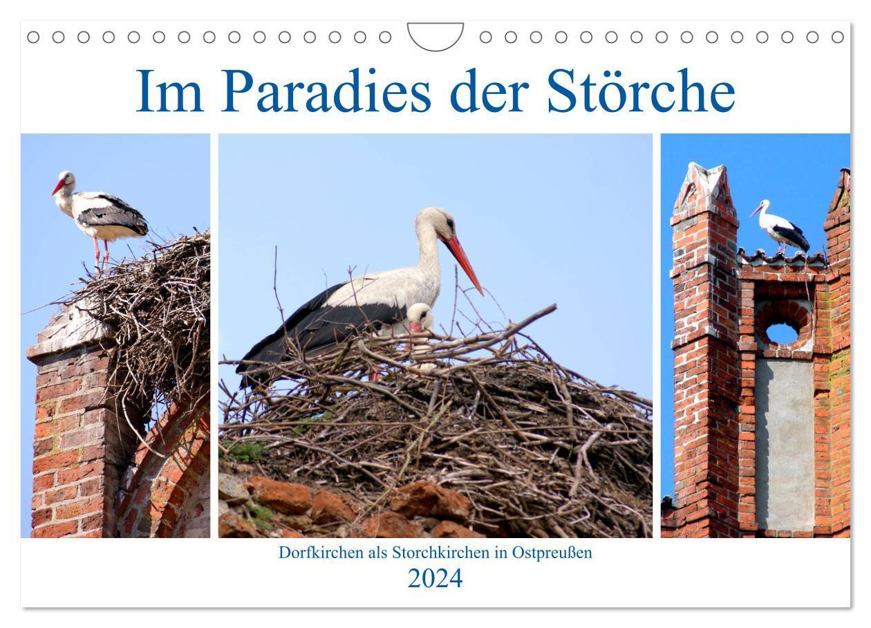 Cover: 9783675879355 | Im Paradies der Störche - Dorfkirchen als Storchkirchen in...