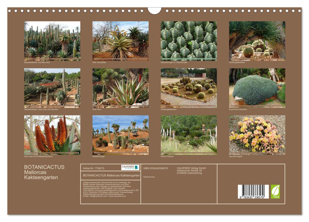 Bild: 9783435336579 | BOTANICACTUS Mallorcas Kakteengarten (Wandkalender 2025 DIN A3...