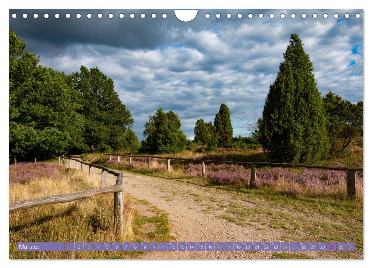 Bild: 9783383984419 | Die Farbenpracht der Lüneburger Heide (Wandkalender 2025 DIN A4...