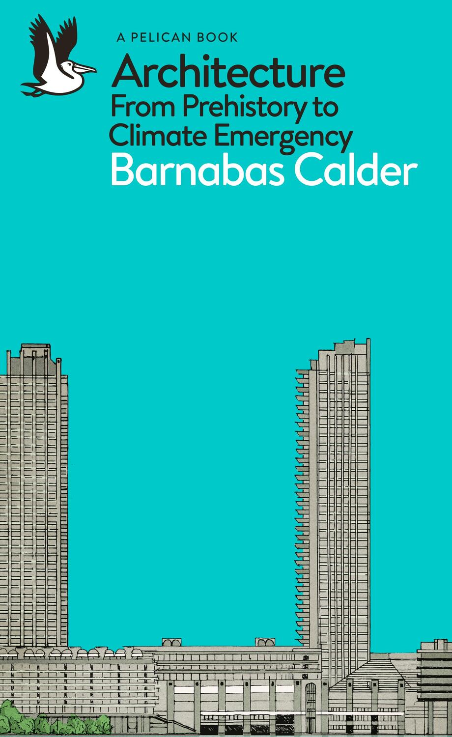 Cover: 9780141978208 | Architecture | From Prehistory to Climate Emergency | Barnabas Calder