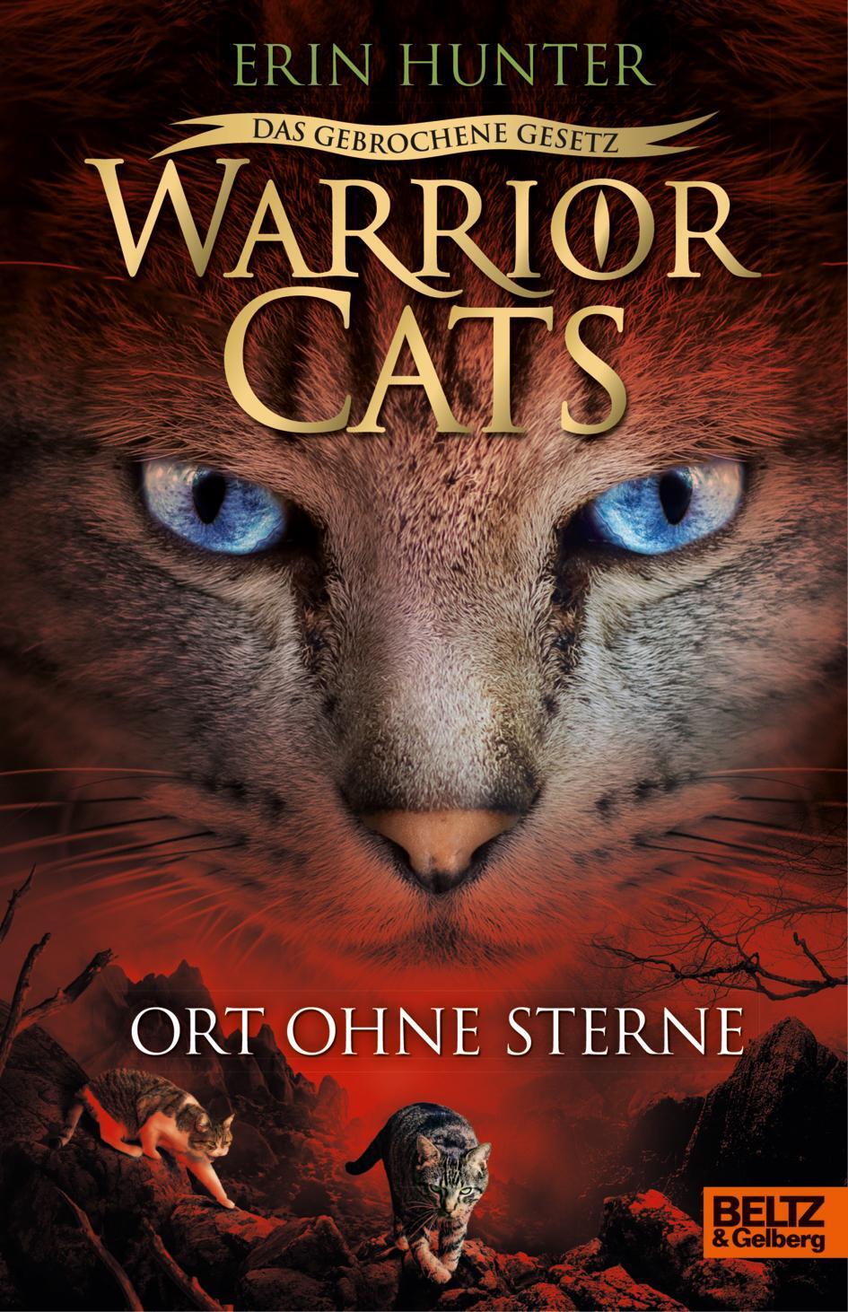 Cover: 9783407756466 | Warrior Cats - Das gebrochene Gesetz. Ort ohne Sterne | Erin Hunter