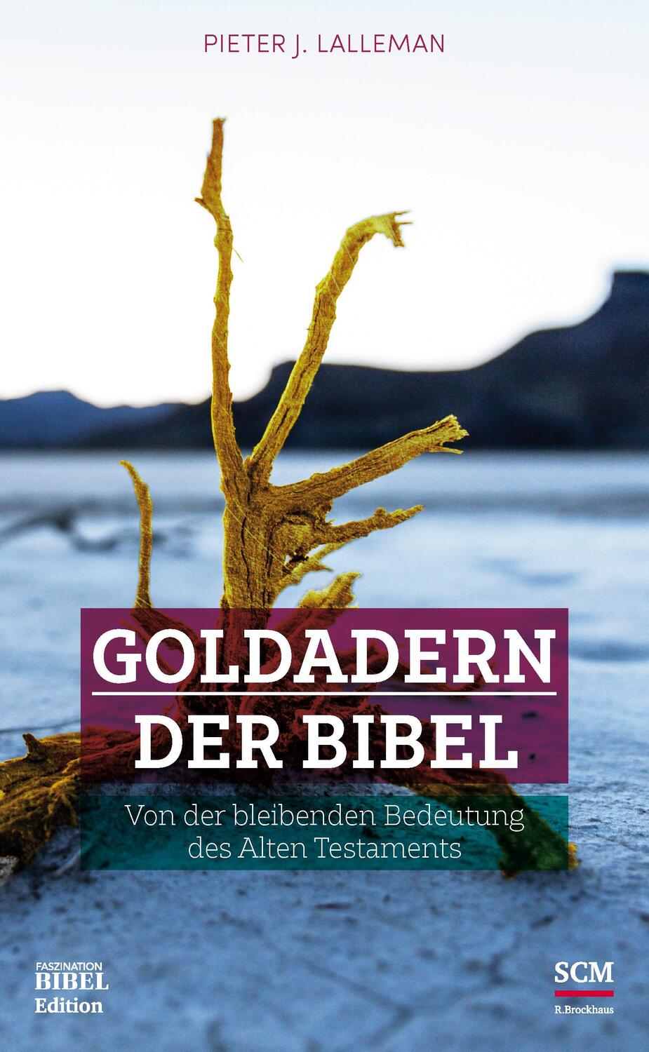 Cover: 9783417253597 | Goldadern der Bibel | Pieter J Lalleman | Buch | 160 S. | Deutsch