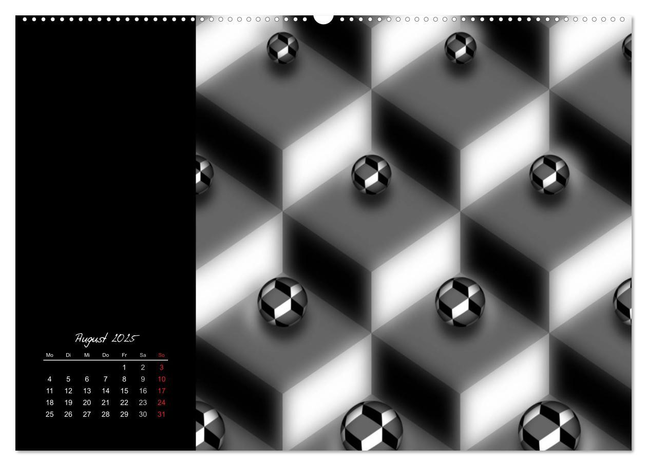 Bild: 9783435794522 | Schwarz trifft Weiß (Wandkalender 2025 DIN A2 quer), CALVENDO...
