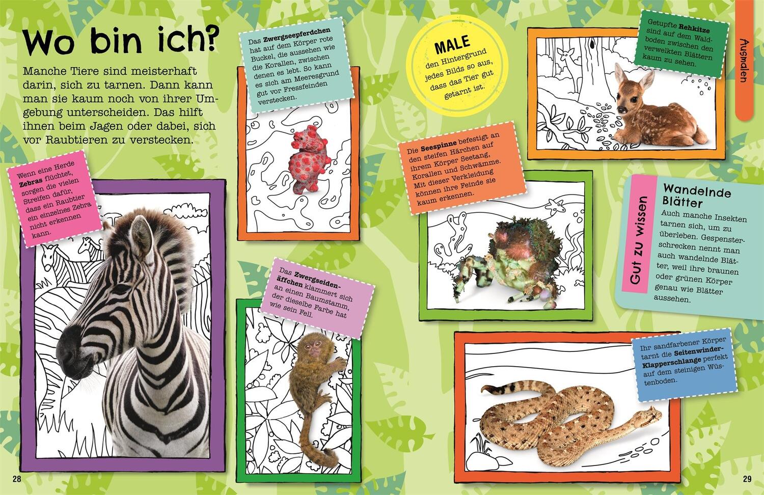 Bild: 9783831048922 | Mein Mitmach-Wissens-Kick. Tiere | Taschenbuch | 96 S. | Deutsch
