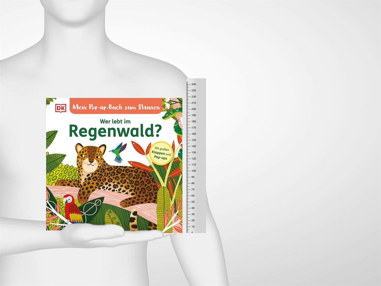 Bild: 9783831046638 | Mein Pop-up-Buch zum Staunen. Wer lebt im Regenwald? | Sandra Grimm