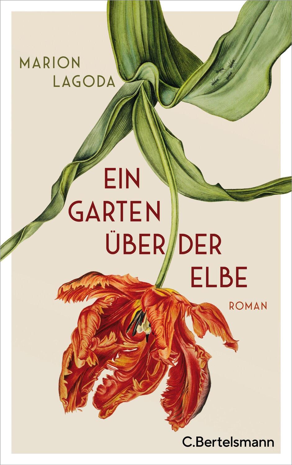 Cover: 9783570104019 | Ein Garten über der Elbe | Roman | Marion Lagoda | Buch | Deutsch