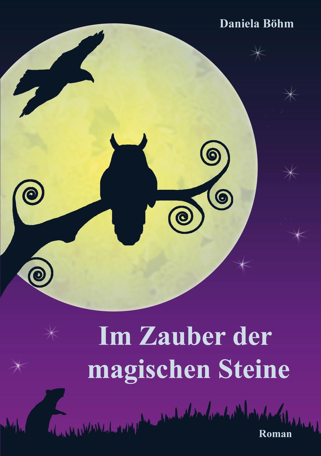 Cover: 9783757817909 | Im Zauber der magischen Steine | Daniela Böhm | Taschenbuch | 204 S.