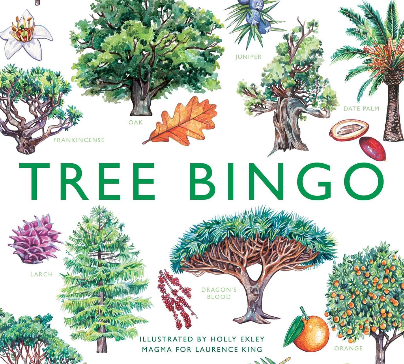 Cover: 9781399602778 | Tree Bingo | Tony Kirkham | Spiel | 64 Spielkärtchen | Englisch | 2022
