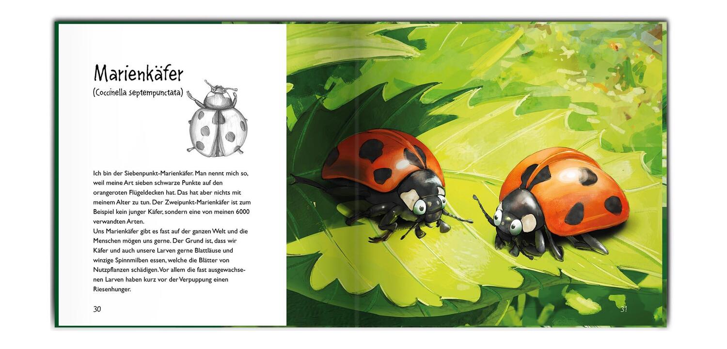 Bild: 9783982375601 | Unsere Insekten und Krabbelfreunde | Markus Sick | Buch | Deutsch