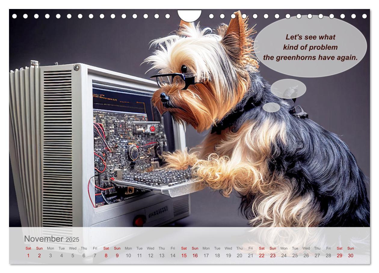 Bild: 9781325981359 | You really think you are an IT expert (Wall Calendar 2025 DIN A4...