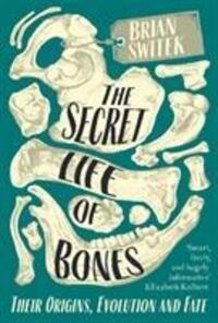Cover: 9780715653791 | The Secret Life of Bones | Their Origins, Evolution and Fate | Switek