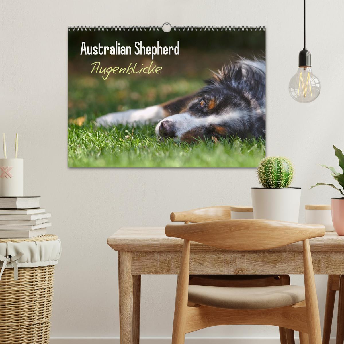 Bild: 9783435582327 | Australian Shepherd - Augenblicke (Wandkalender 2025 DIN A3 quer),...