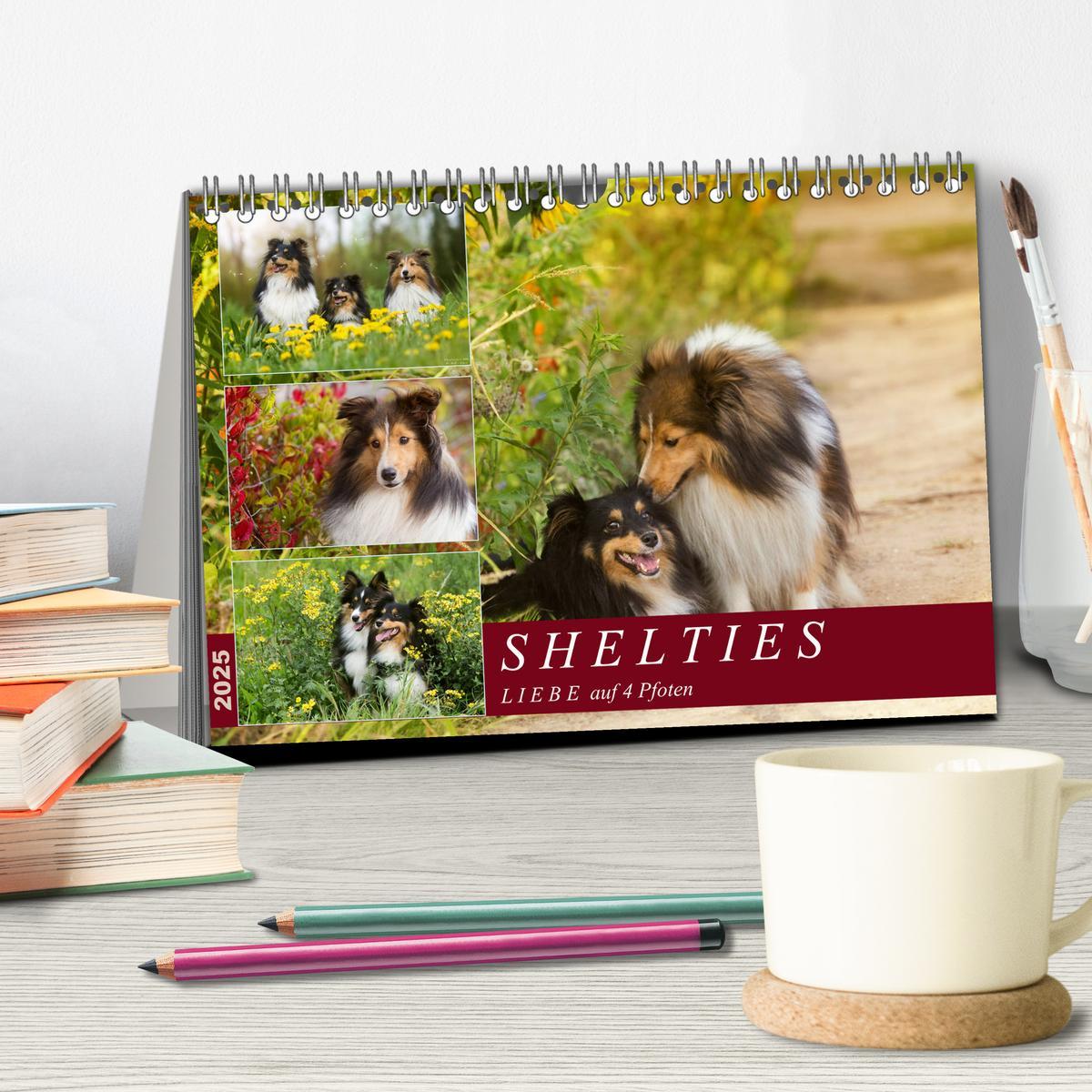 Bild: 9783435422678 | SHELTIES Liebe auf 4 Pfoten (Tischkalender 2025 DIN A5 quer),...