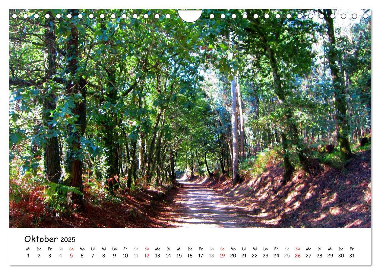 Bild: 9783435558391 | Camino Portugues - Jakobsweg (Wandkalender 2025 DIN A4 quer),...