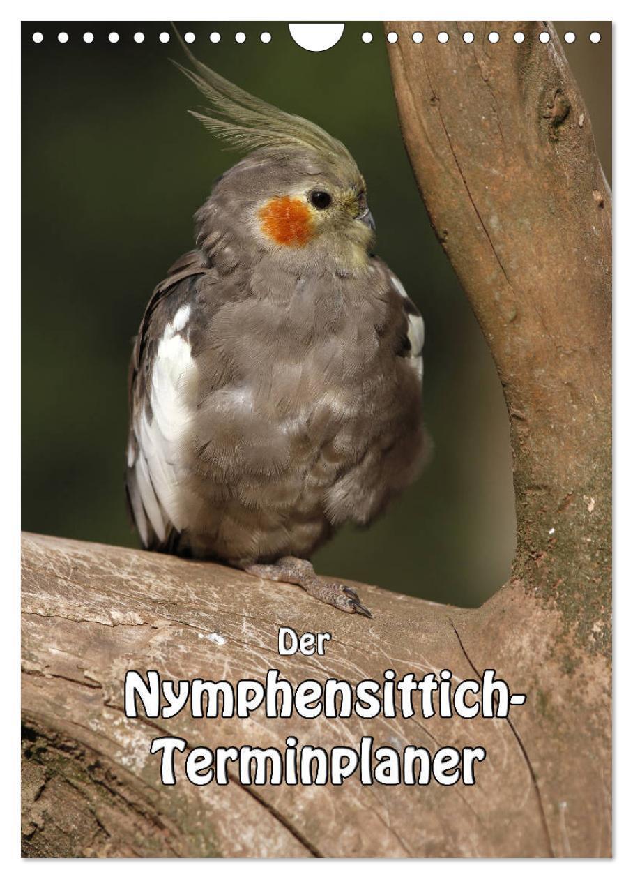 Cover: 9783383241932 | Der Nymphensittich-Terminplaner (Wandkalender 2024 DIN A4 hoch),...