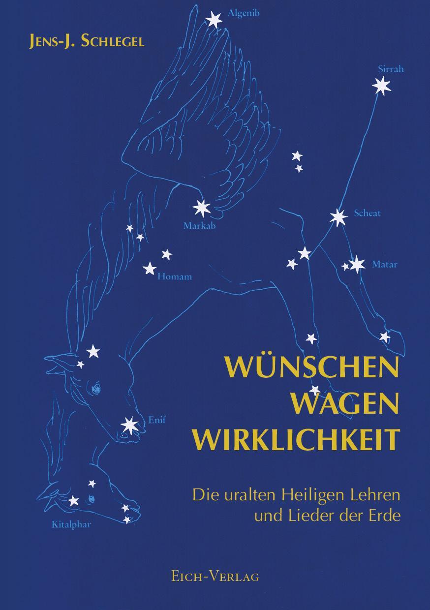 Cover: 9783940964687 | Wu¿nschen - Wagen - Wirklichkeit | Jens-J. Schlegel | Taschenbuch