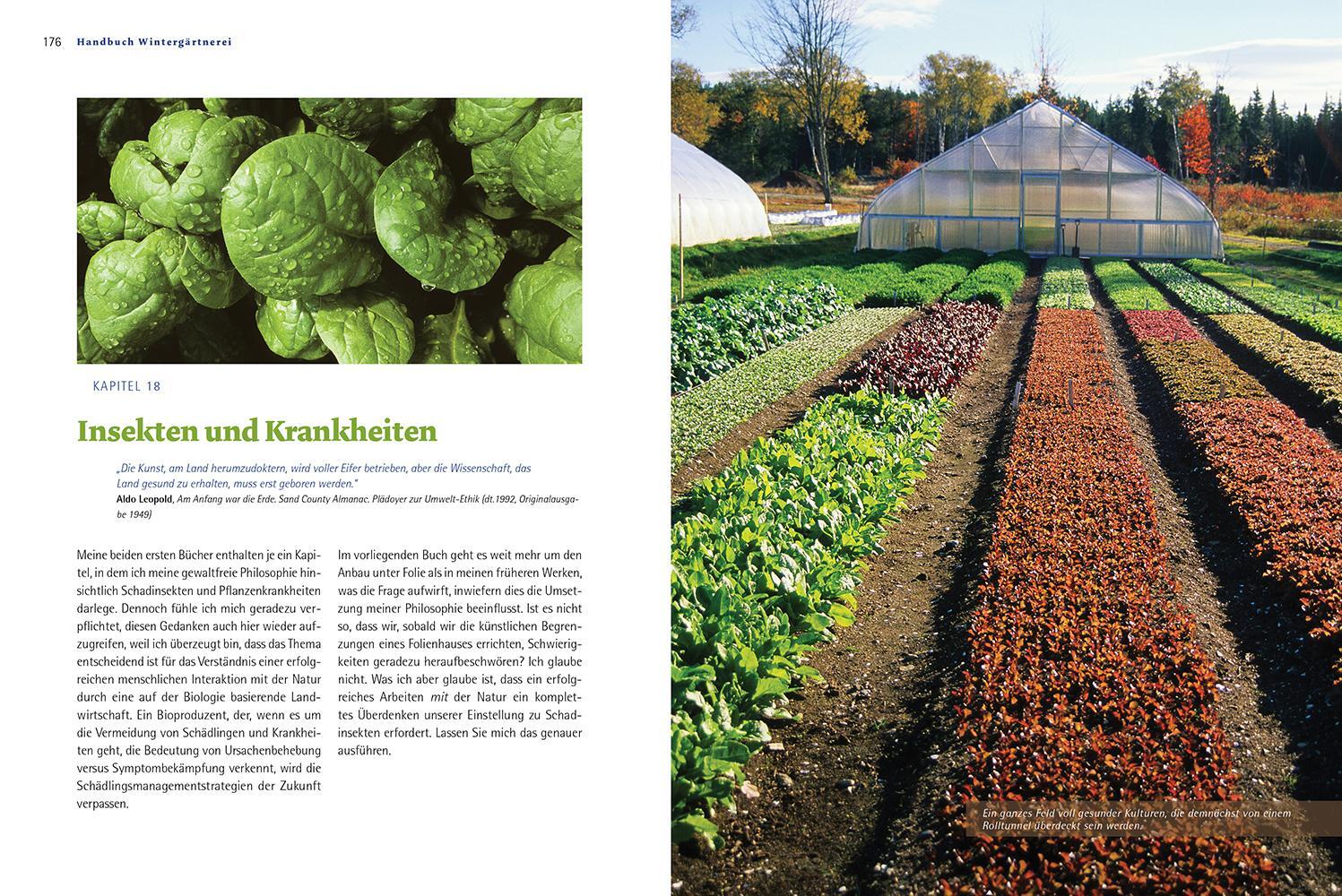 Bild: 9783706625654 | Handbuch Wintergärtnerei | Frisches Biogemüse rund ums Jahr | Coleman