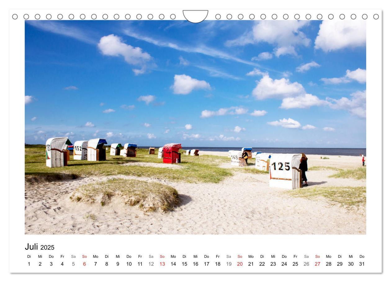 Bild: 9783435495160 | OSTFRIESLAND Strand und Mee(h)r (Wandkalender 2025 DIN A4 quer),...