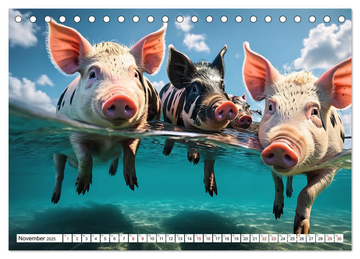 Bild: 9783383835292 | Schwimmende Schweine im Paradies (Tischkalender 2025 DIN A5 quer),...