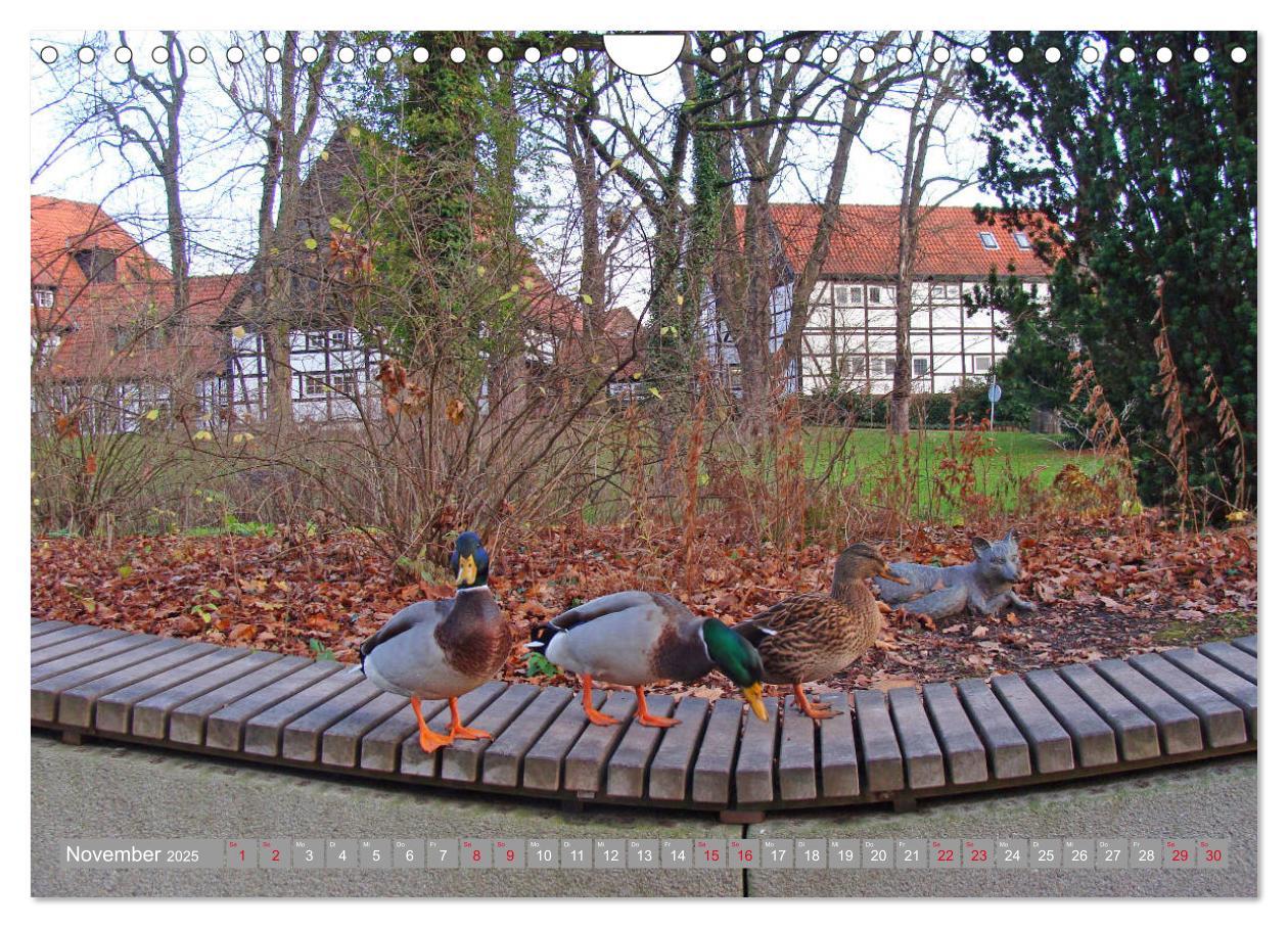 Bild: 9783435457274 | Bad Sassendorf (Wandkalender 2025 DIN A4 quer), CALVENDO...