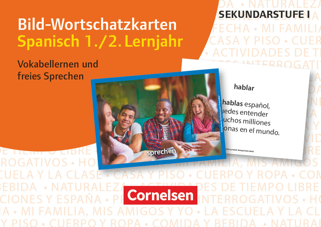 Cover: 9783589167081 | Bild-Wortschatzkarten Fremdsprachen Sekundarstufe I | Rubiano (u. a.)